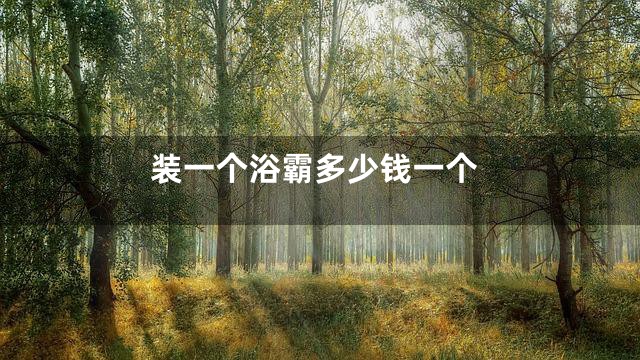 装一个浴霸多少钱一个