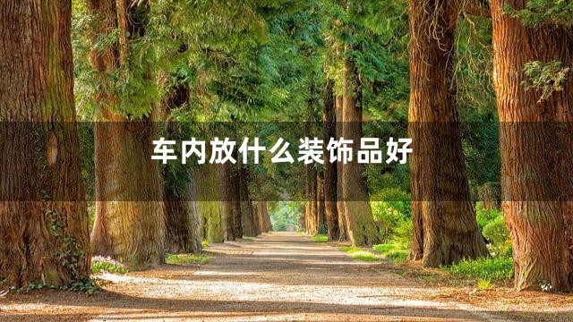 车内放什么装饰品好