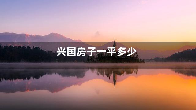 兴国房子一平多少