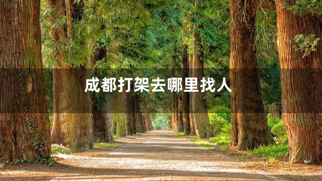 成都打架去哪里找人