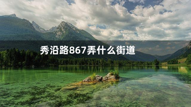 秀沿路867弄什么街道