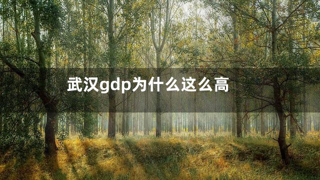 武汉gdp为什么这么高