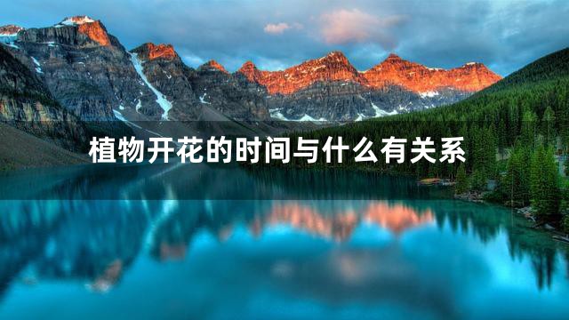 植物开花的时间与什么有关系
