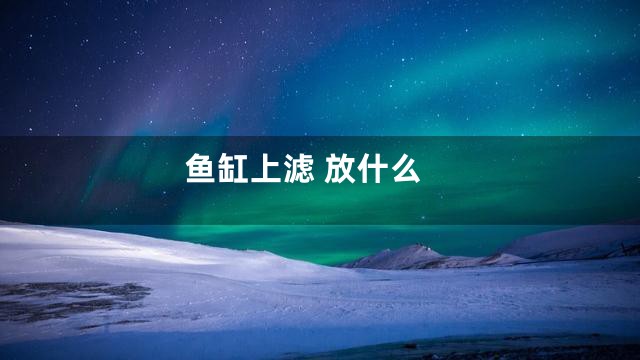 鱼缸上滤 放什么