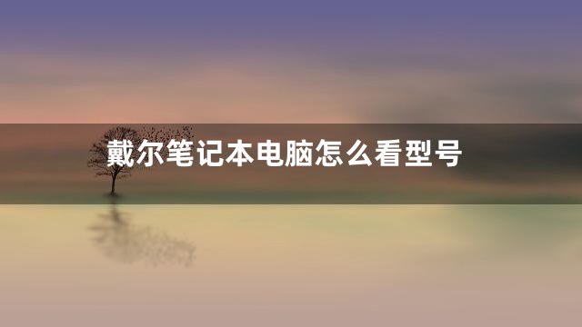 戴尔笔记本电脑怎么看型号