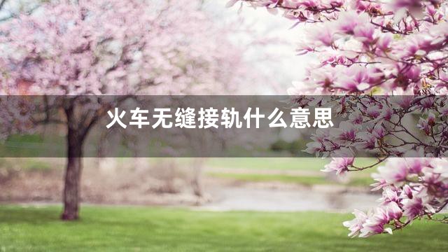 火车无缝接轨什么意思
