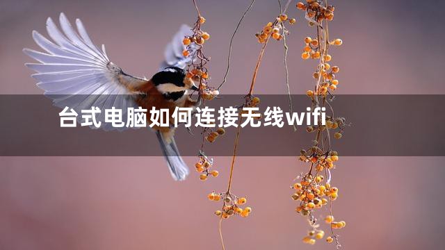台式电脑如何连接无线wifi