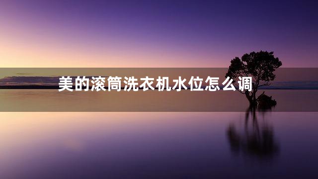 美的滚筒洗衣机水位怎么调