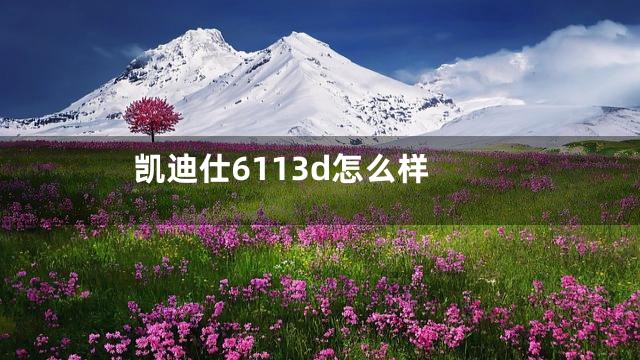 凯迪仕6113d怎么样