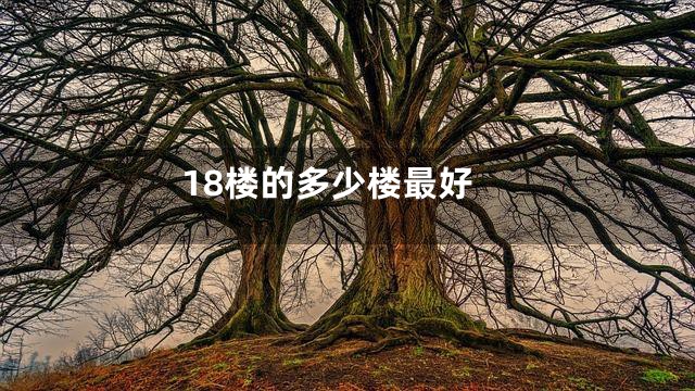 18楼的多少楼最好