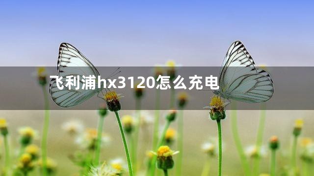 飞利浦hx3120怎么充电