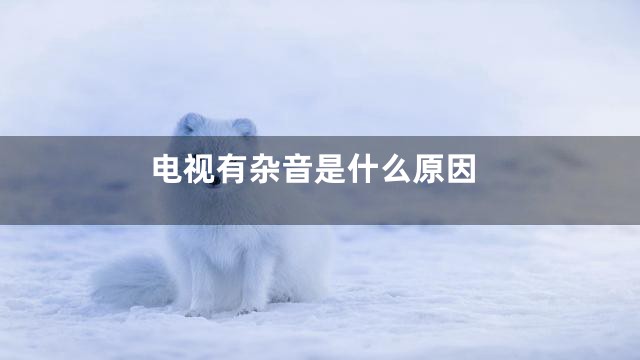 电视有杂音是什么原因