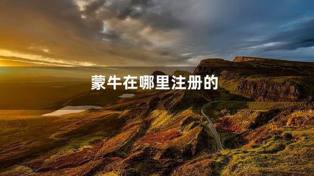 蒙牛在哪里注册的