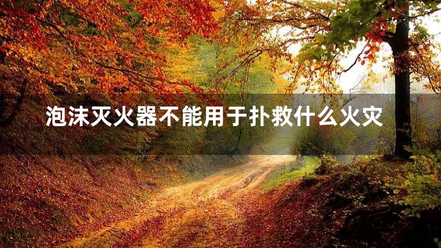 泡沫灭火器不能用于扑救什么火灾