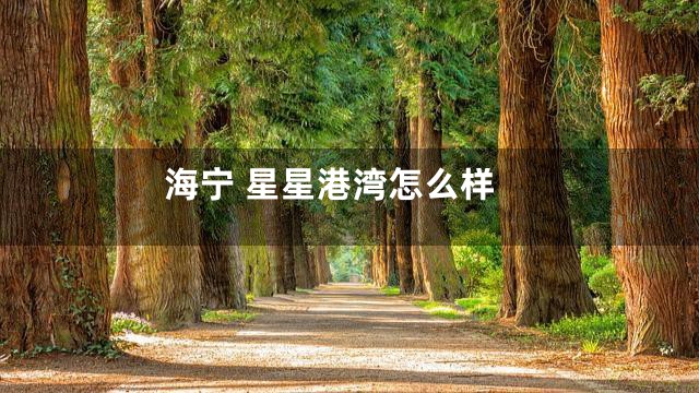 海宁 星星港湾怎么样