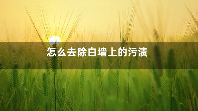 怎么去除白墙上的污渍
