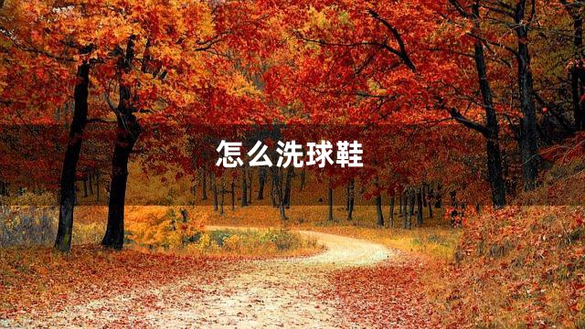 怎么洗球鞋