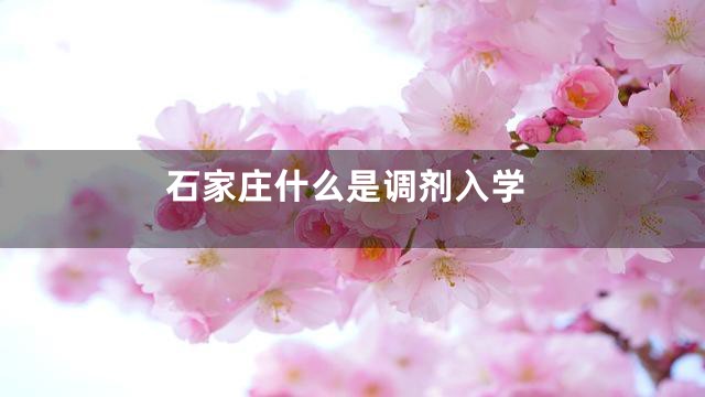 石家庄什么是调剂入学