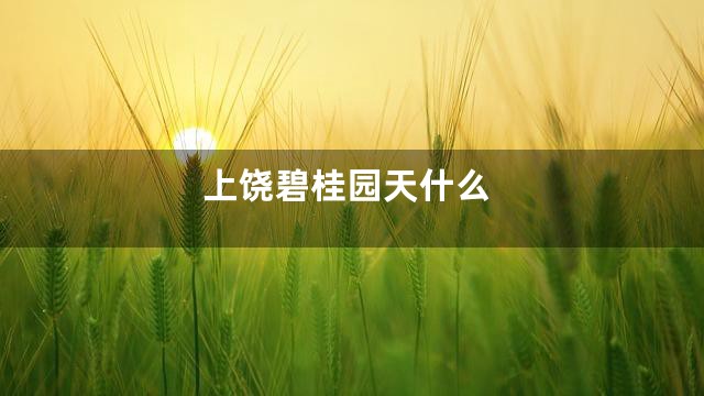 上饶碧桂园天什么