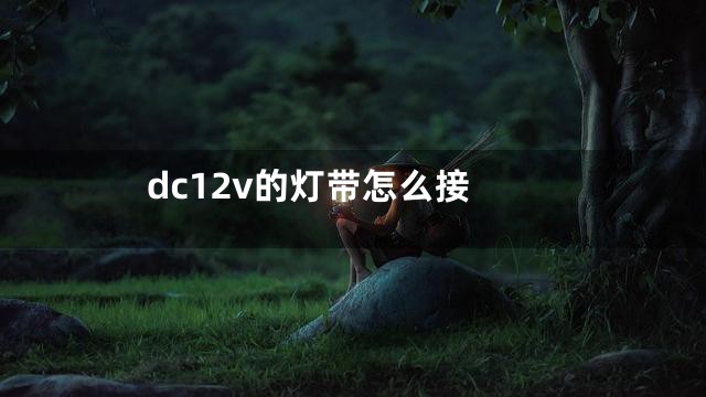 dc12v的灯带怎么接