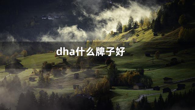 dha什么牌子好