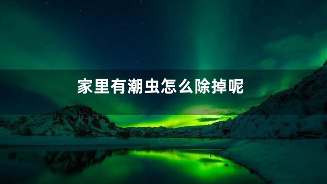 家里有潮虫怎么除掉呢