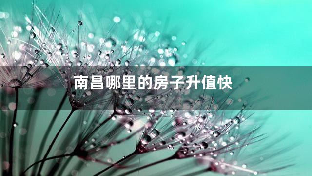 南昌哪里的房子升值快