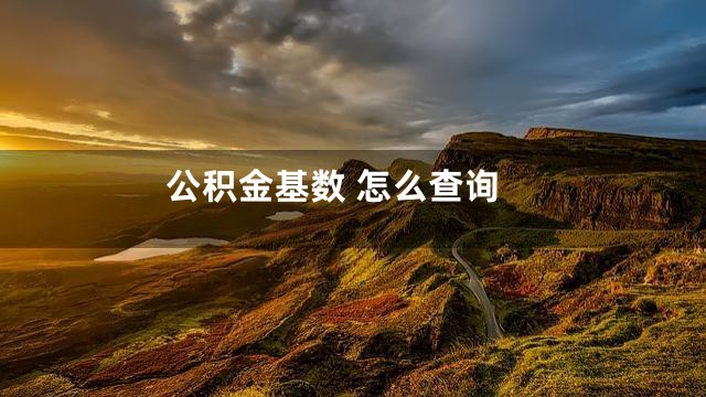 公积金基数 怎么查询