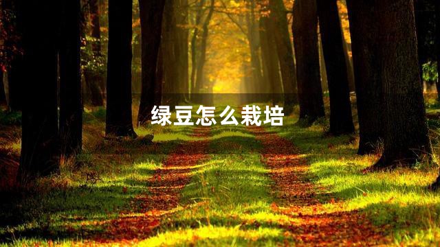 绿豆怎么栽培