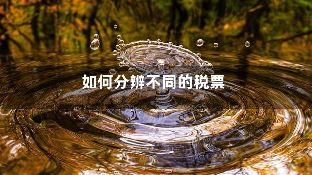 如何分辨不同的税票