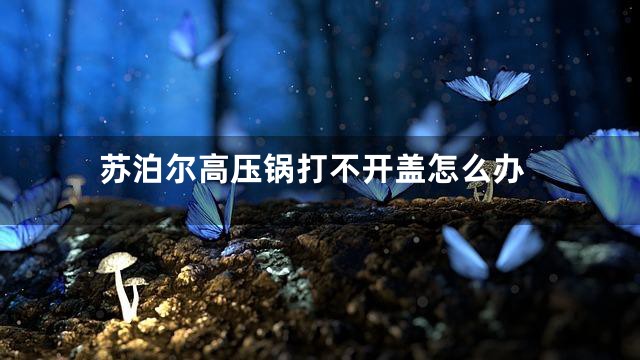 苏泊尔高压锅打不开盖怎么办