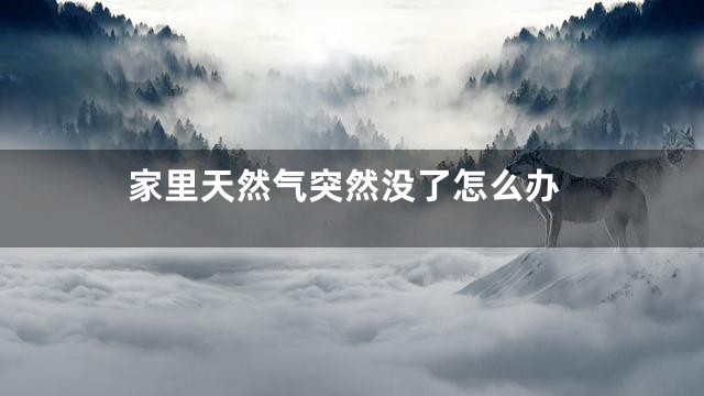家里天然气突然没了怎么办
