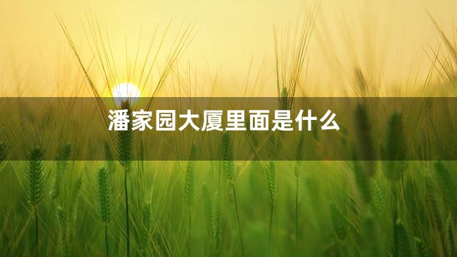 潘家园大厦里面是什么