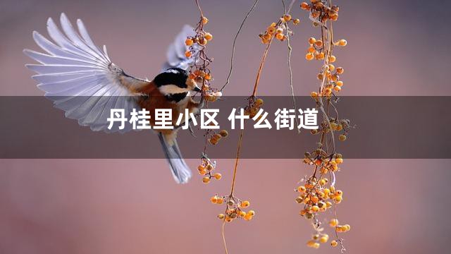 丹桂里小区 什么街道