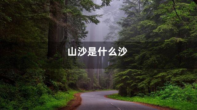 山沙是什么沙