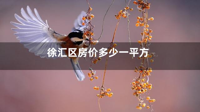 徐汇区房价多少一平方