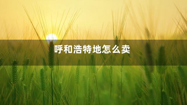 呼和浩特地怎么卖