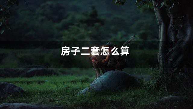 房子二套怎么算