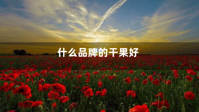 什么品牌的干果好