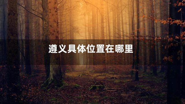 遵义具体位置在哪里