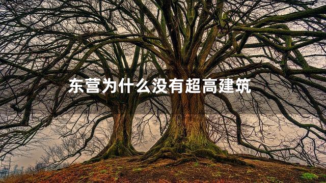 东营为什么没有超高建筑