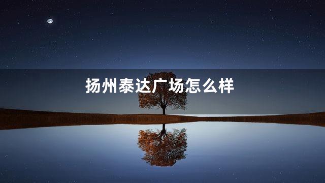 扬州泰达广场怎么样