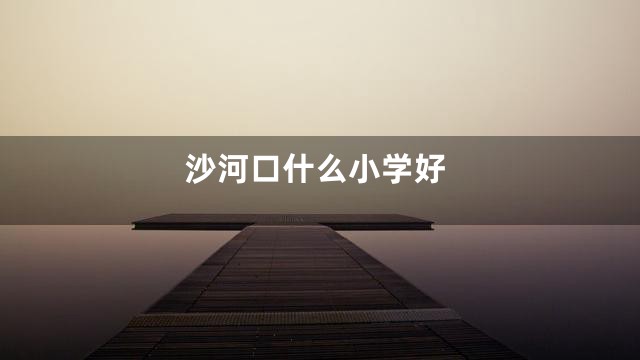 沙河口什么小学好