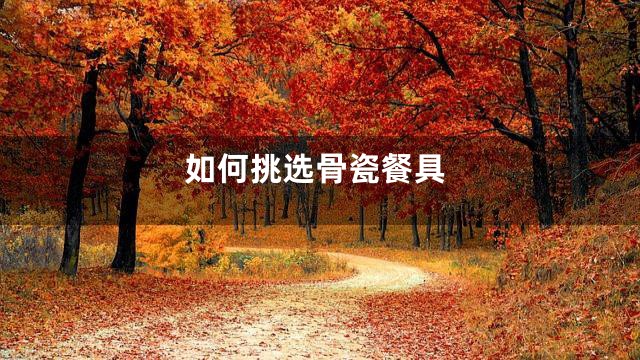 如何挑选骨瓷餐具