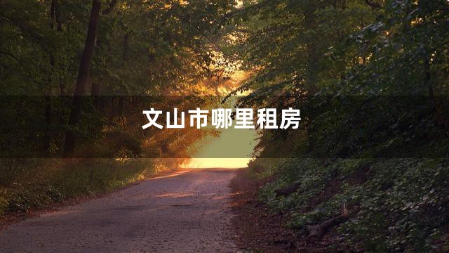 文山市哪里租房