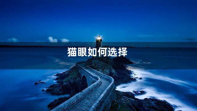 猫眼如何选择