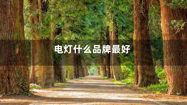 电灯什么品牌最好