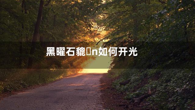 黑曜石貔n如何开光