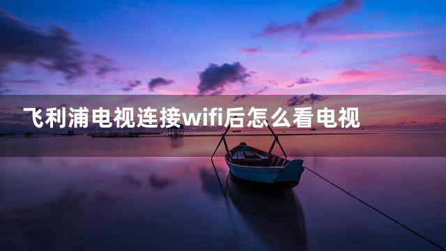 飞利浦电视连接wifi后怎么看电视