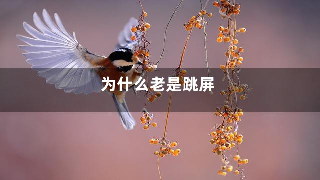 为什么老是跳屏